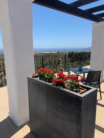 Casa Bedar Bed & Breakfast Dış mekan fotoğraf